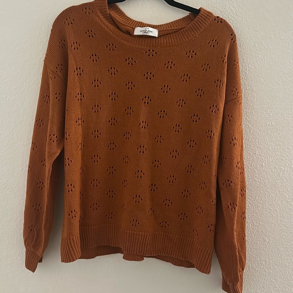 Carly Jean Los Angeles Brown Crew Neck Sweater